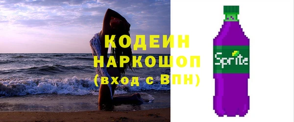 молекула духа Кулебаки